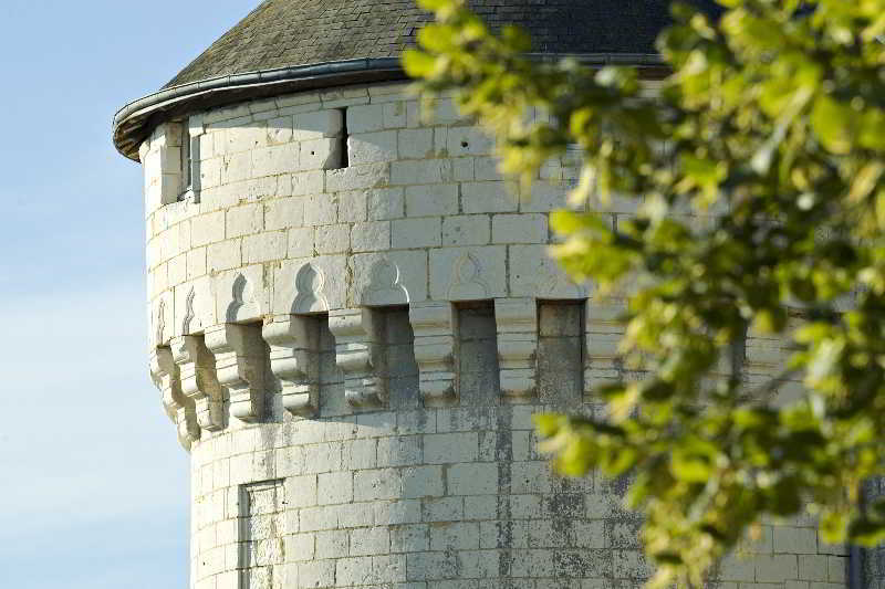 Chateau De Marcay Εξωτερικό φωτογραφία