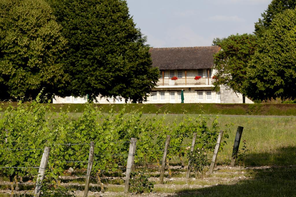 Chateau De Marcay Εξωτερικό φωτογραφία